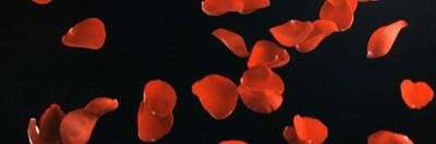 briiscrazi thumbnail