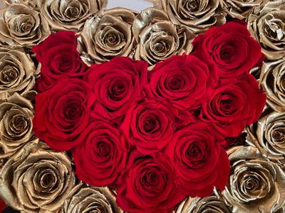 SelenaaasAsmr thumbnail