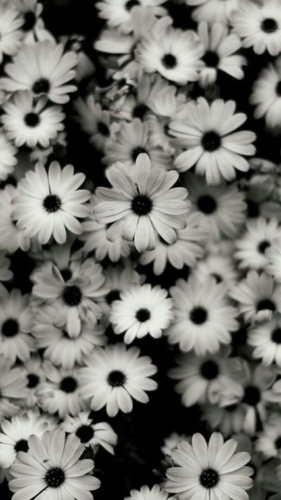 eveliinasi thumbnail