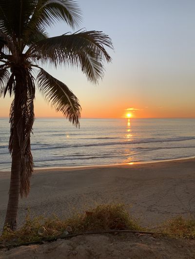 isjustjess thumbnail