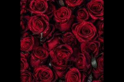 sapphire.baby thumbnail