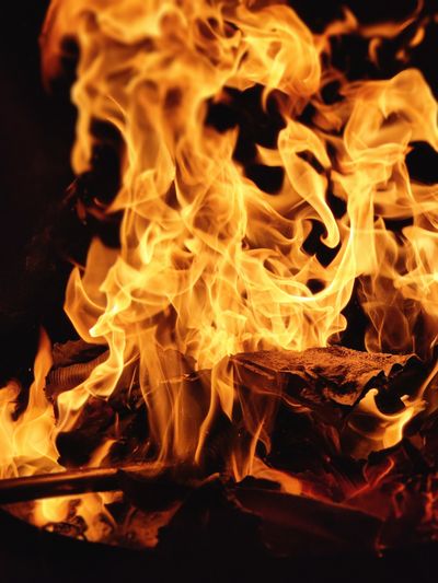 kittie_meow_meow thumbnail