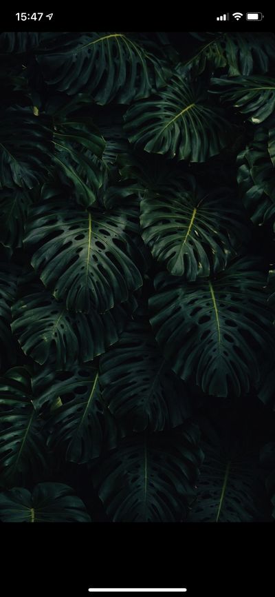 annaxsliver thumbnail