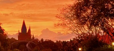 starseedling thumbnail