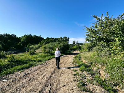 sophie.cox thumbnail