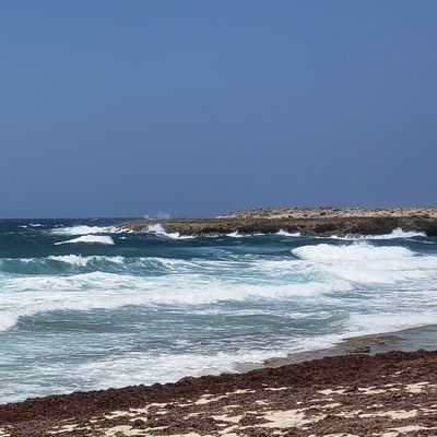 edulop2021 thumbnail