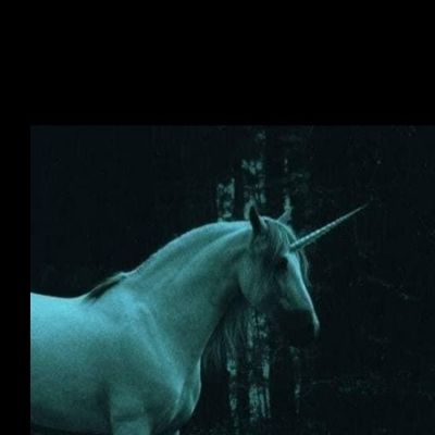 nadia_noir thumbnail