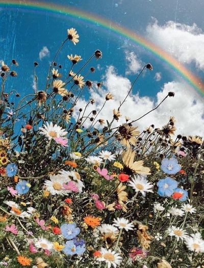 littleladylacii thumbnail