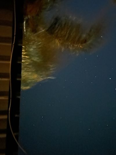 amethystjen thumbnail