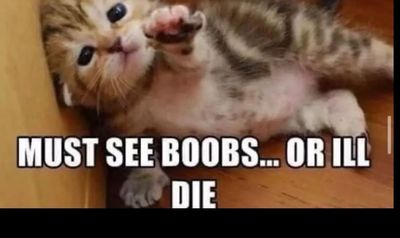 Mark XXIII thumbnail