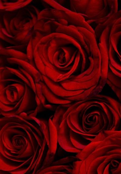 u209568998 thumbnail