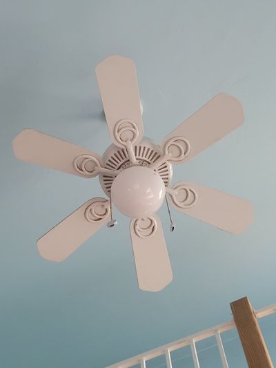 windywonders profile