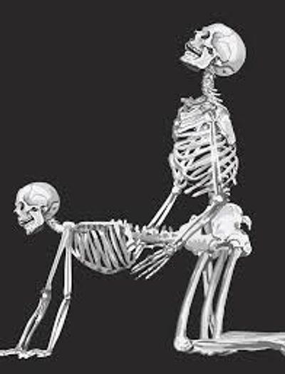 Skull Bebe thumbnail