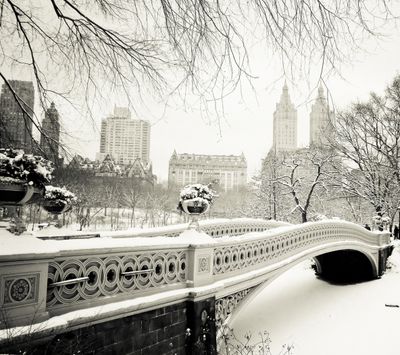 ponderingkiwi thumbnail