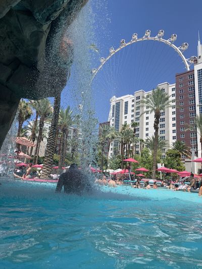 soflotwunk thumbnail