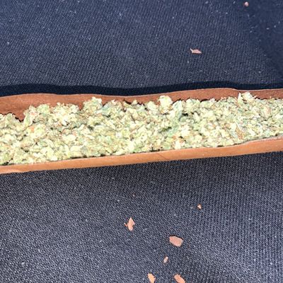 longpipeeeee profile