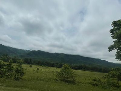 toesbytooti thumbnail