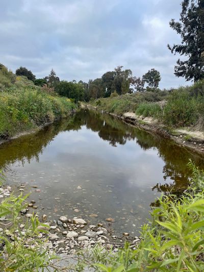 nirvanaelitesd thumbnail