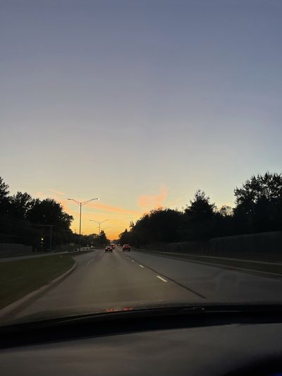 pollyester1 thumbnail