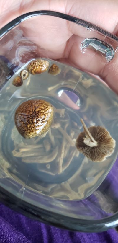 kintsugi01 thumbnail