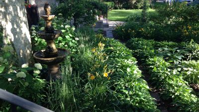 patriarchsmith thumbnail