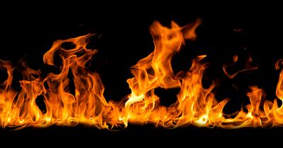 brownbettty thumbnail