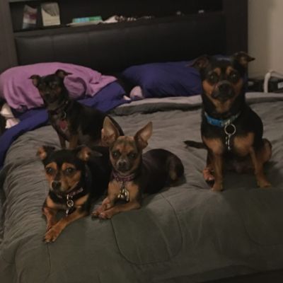 hollybunny thumbnail