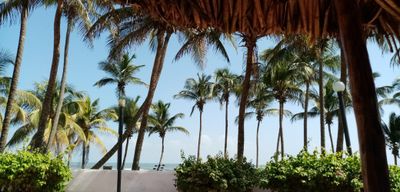 natyprincess28 thumbnail