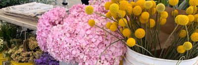 twinkerbelles thumbnail