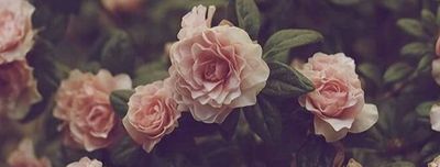 prettyndarkskin thumbnail