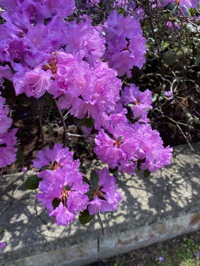 hhmommymilkers thumbnail