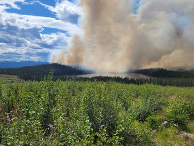 jmclean117 thumbnail