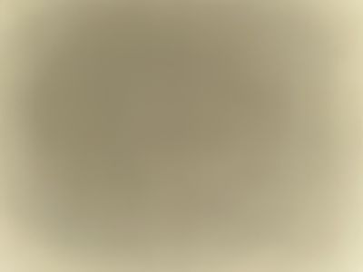 thatgirlmari profile