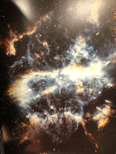 violetsworld143 thumbnail