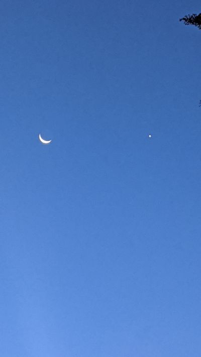 meangreen91 thumbnail