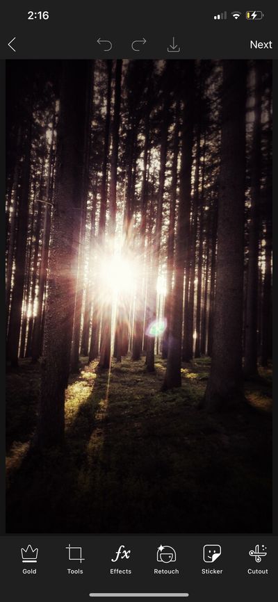 tendermcsweet thumbnail