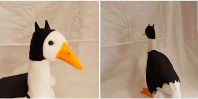 leviaataan thumbnail