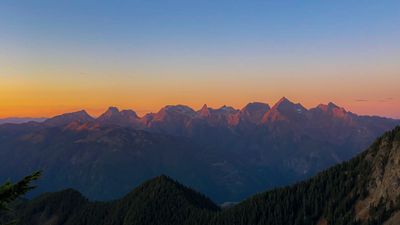 xeniatheamazon thumbnail