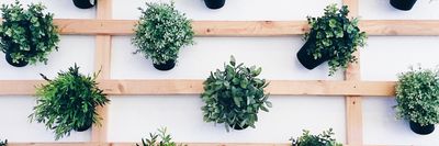 GAY_MADRID thumbnail