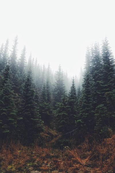 Stick Flair thumbnail