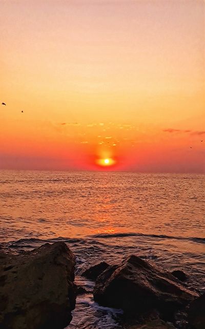 andykitty.me thumbnail