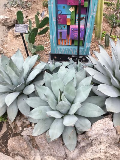 johnnyyyrayyy thumbnail