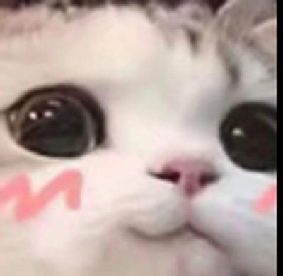 scapegoat_ad profile