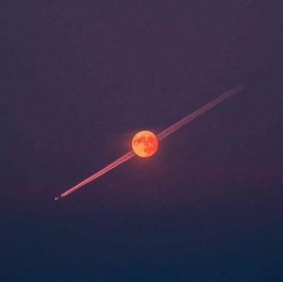 u149356713 thumbnail