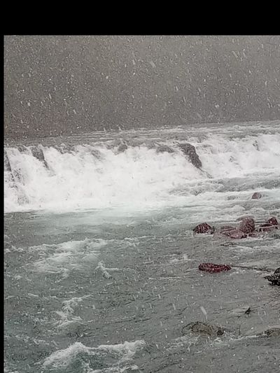 dwright4real thumbnail