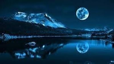 dollexoticgold thumbnail