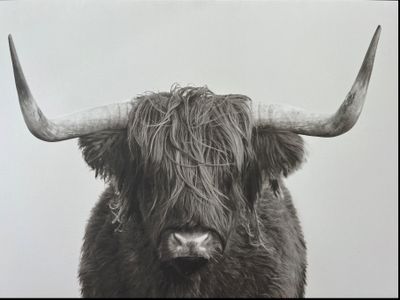 misterfun8 thumbnail