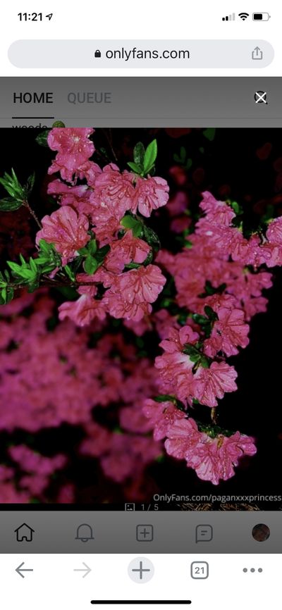 paganxxxprincess thumbnail