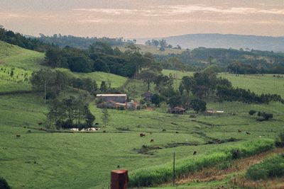 gian_kedit thumbnail