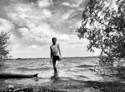 brinsandalwood profile